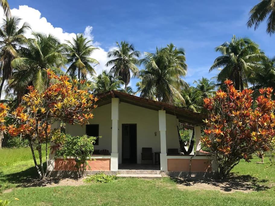 Casinha Jardim Das Palmeiras Morro de Sao Paulo Luaran gambar
