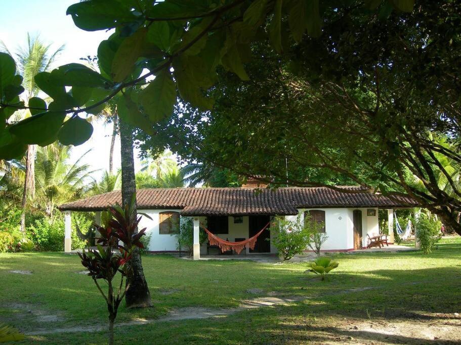 Casinha Jardim Das Palmeiras Morro de Sao Paulo Luaran gambar